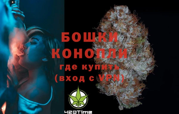 PSILOCYBIN Верхний Тагил